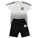 Boys Lion Print T-Shirt and Shorts Set