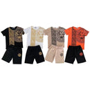 Boys Lion Print T-Shirt And Short Set (A-008)